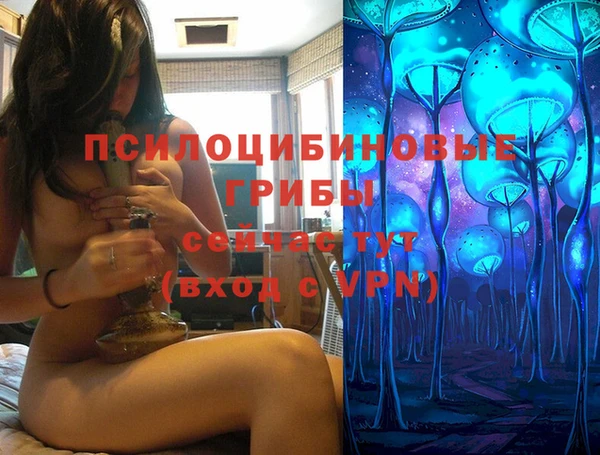 мяу мяу мука Ладушкин