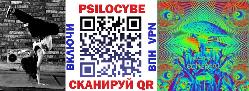 Псилоцибиновые грибы Psilocybine cubensis  Мосальск 